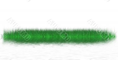 Island of green grass Island of green grass