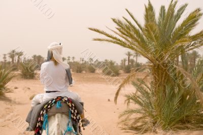 caravan of tourists in desert