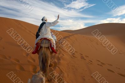 caravan of tourists in desert