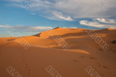 Sahara Desert