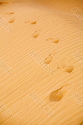 footprints on the sand