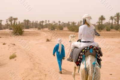 caravan of tourists in desert