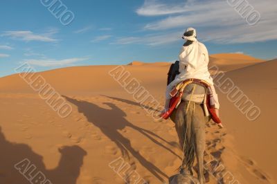 caravan of tourists in desert