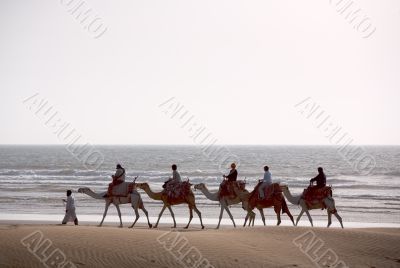 Camel train silhouette
