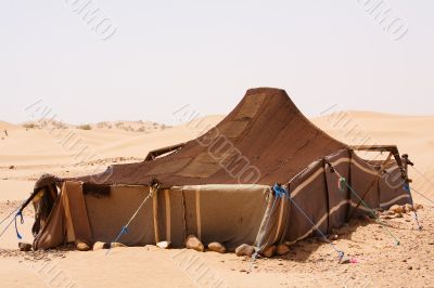 Desert Camp