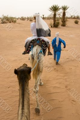 caravan of tourists in desert