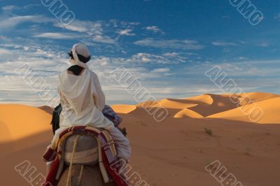 caravan of tourists in desert