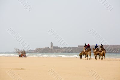 People on the camel at the beach