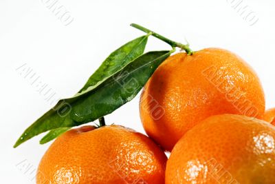 Tangerines