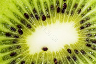 kiwi background