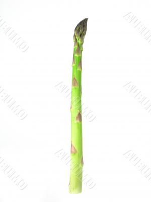 asparagus