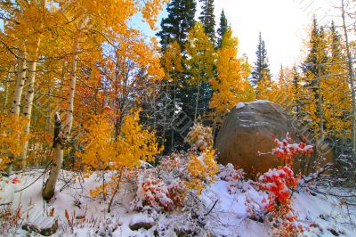 Fall Splender 2 Fall Splender 2