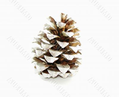 Decorative painted cone
