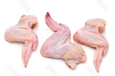 chicken wing