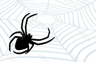 Spider the hunter. Spider the hunter.