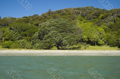 Beach inviting to spend vacation