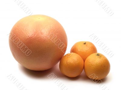 Citrus composition