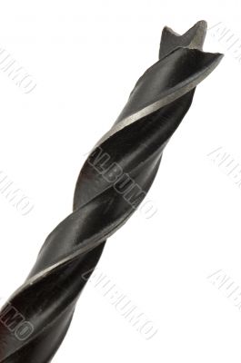 black auger