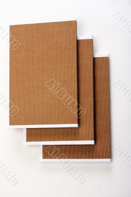 File Folders Stuffed with Paperwork