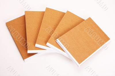 File Folders Stuffed with Paperwork