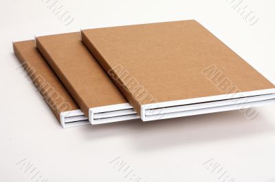 File Folders Stuffed with Paperwork