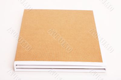 File Folders Stuffed with Paperwork