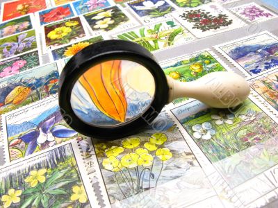 magnifier and collection