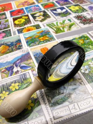magnifier and collection  stamps