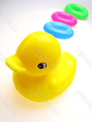 toy  duck