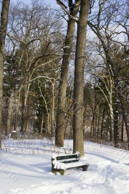 Green bench in snow