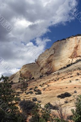 Zion National Park