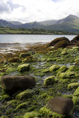 Southern Ireland