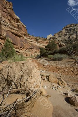 Capitol Reef National Park Capitol Reef National Park