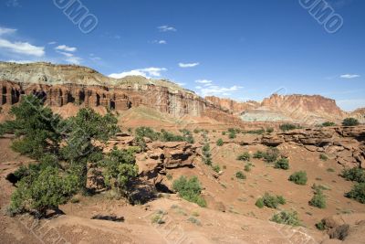 Capitol Reef National Park