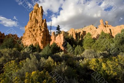 Dixie National Forest Dixie National Forest
