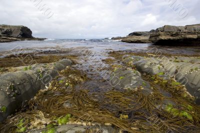 Atlantic ocean