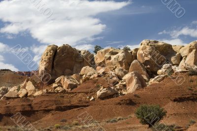 Capitol Reef National Park Capitol Reef National Park