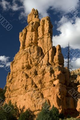 Zion National Park