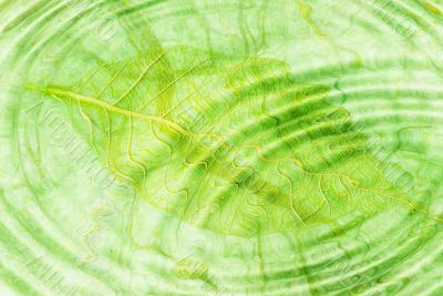 Rippling water Rippling water