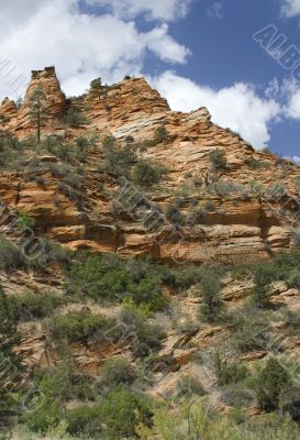 Zion National Park