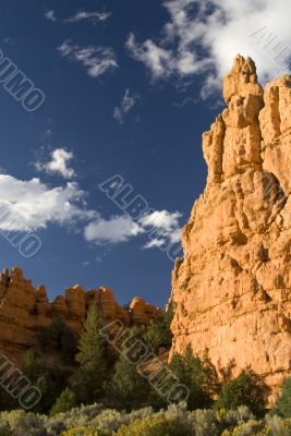 Zion National Park