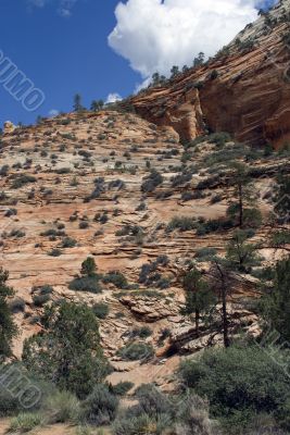 Zion National Park Zion National Park