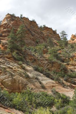 Zion National Park