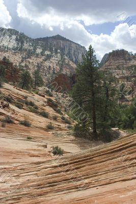 Zion National Park