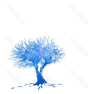 winter tree winter tree