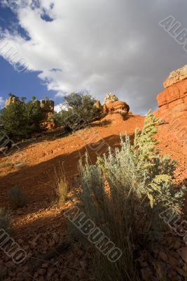 Zion National Park