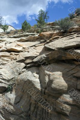 Zion National Park