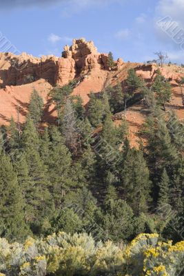 Zion National Park