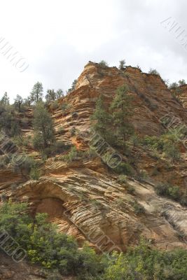 Zion National Park