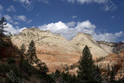 Zion National Park